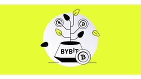 Что такое бивалютные инвестиции на Bybit в Фикс Прайс