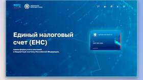 Двухуровневая система ФНС: что это