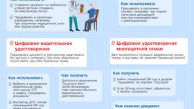 Госуслуги для иностранных граждан: как пользоваться в Фикс Прайс