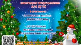 Новогодний тариф: что входит в Фикс Прайс