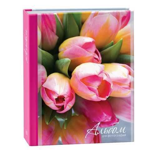 Фотоальбом Image Art 251 10х15 100 фото (IA -100PP) в Фикс Прайс