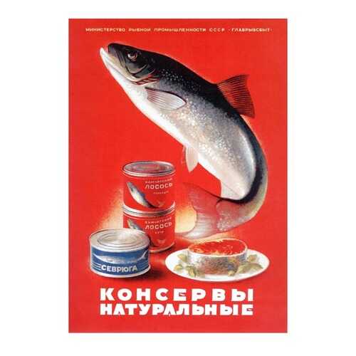 Плакат СТ-Диалог Консервы натуральные, СОВ-535, лам.бумага, 60х90 см в Фикс Прайс