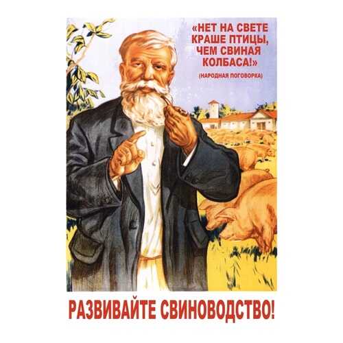 Плакат СТ-Диалог Развивайте свиноводство!, СОВ-011, бумага, 40х60 см в Фикс Прайс