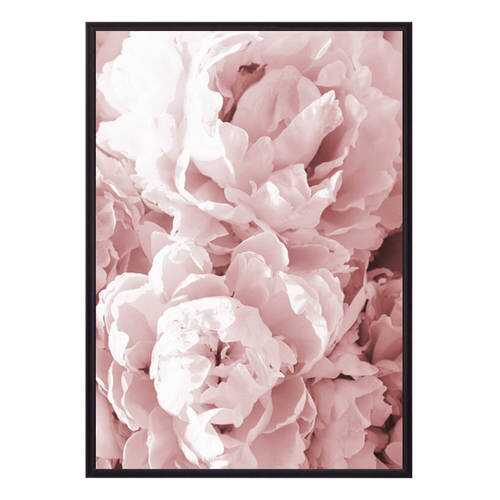 Постер в рамке Розовые пионы 40х60 см в Фикс Прайс