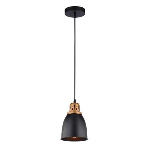 A4248SP-1BK Подвесной светильник Arte Lamp Eurica в Фикс Прайс